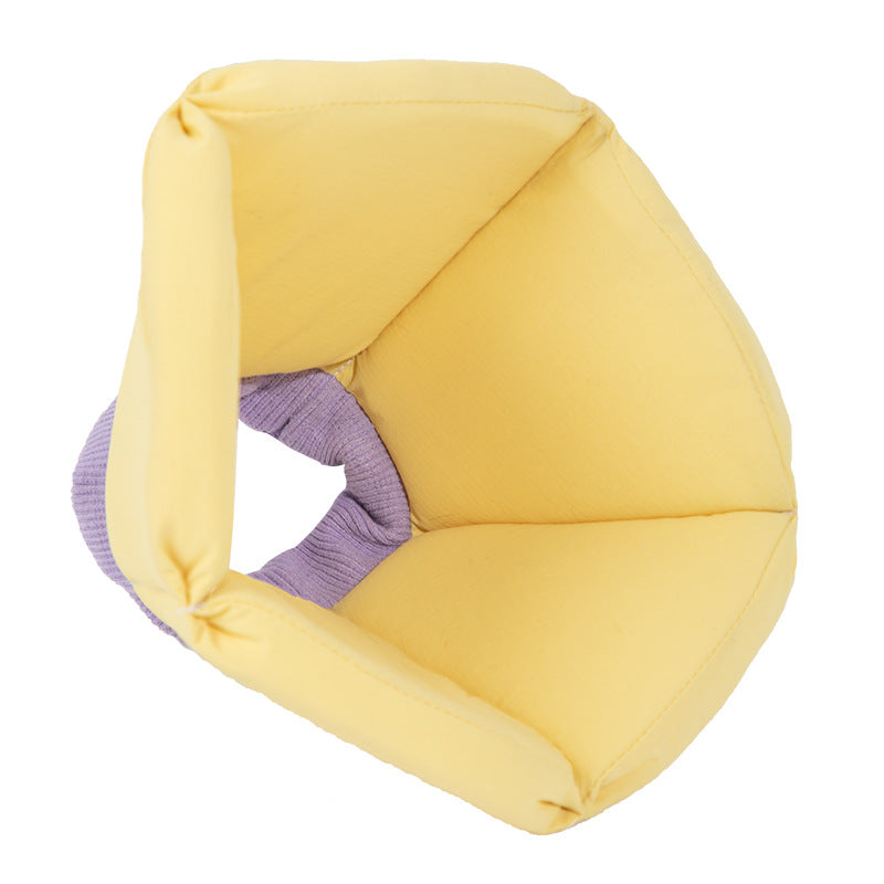 Pet Cone