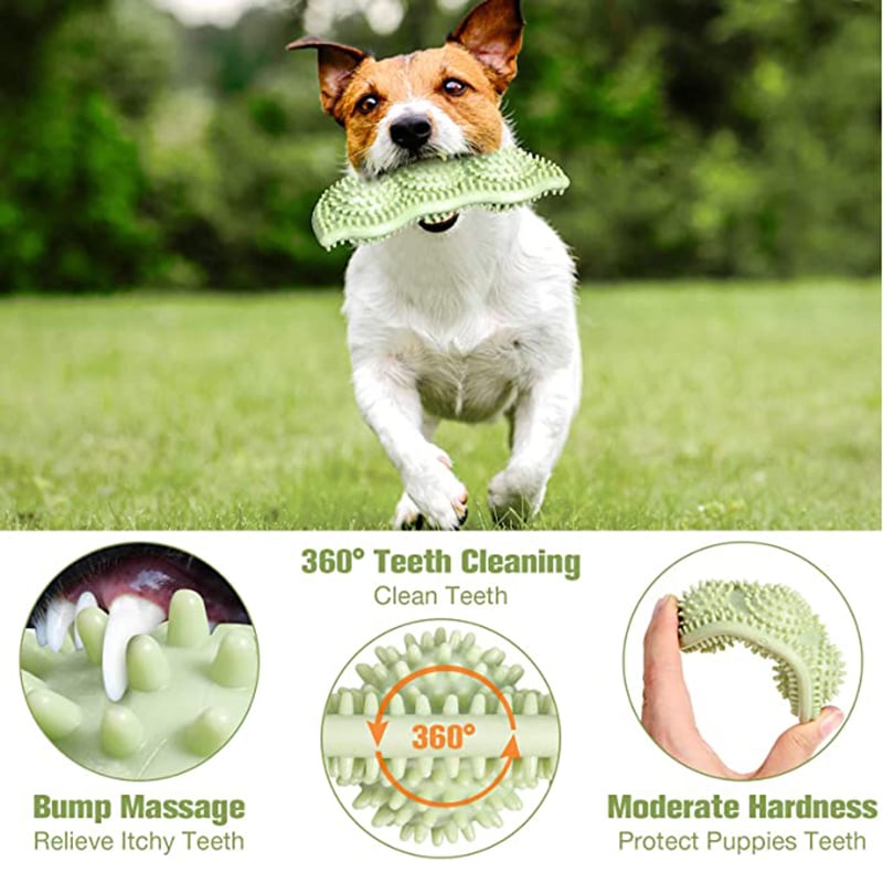 ChewSturdy Interactive Dog Ball