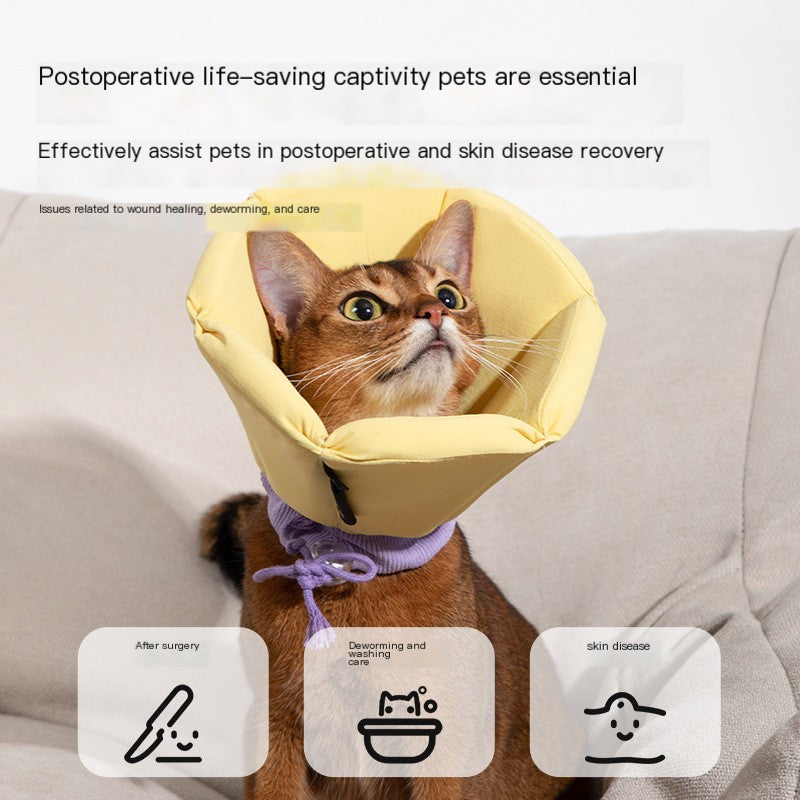 Pet Cone