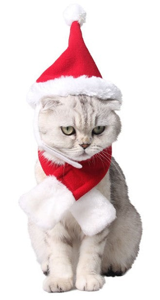 Christmas Pet Outfit for Cats Set